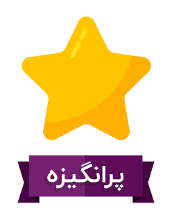 استاد جوان و پرانگیزه دفترپلاس